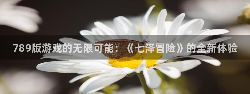 尊龙时凯人生就是搏官网：789版游戏的无限可能：《七泽冒险》
